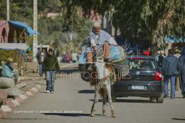 Image du Maroc Professionnelle de  Un berbère rentre chez lui à dos de mulet bien chargés de sacs de foins destinés à la nourriture du bétail après avoir fait ses courses au marché de Tnine Ourika, le village berbère située dans la vallée de l'Ourika sur la route de l'Oukaimden dans le haut Atlas, Mardi 27 Février 2007. (Photo / Abdeljalil Bounhar) 